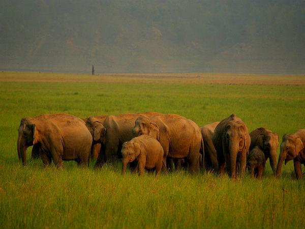 કોર્બેટ નેશનલ પાર્ક