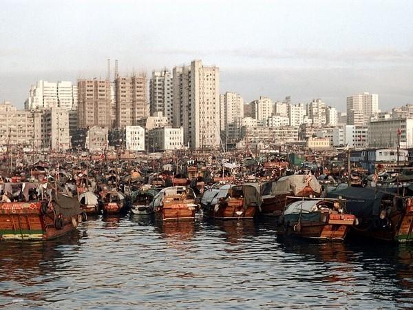 Harbour Scene