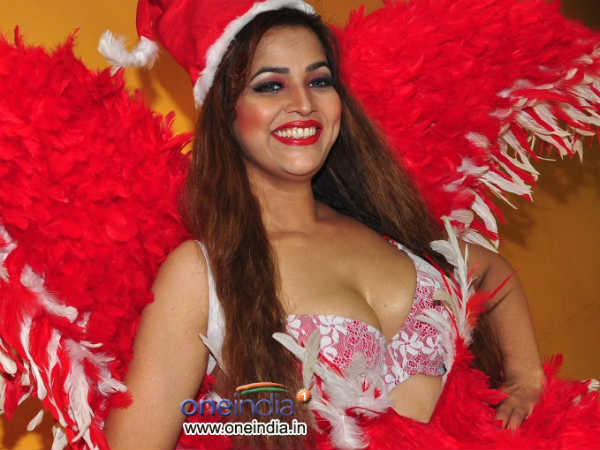 તનીષા સિંહનો હૉટ બિકિની સાંતા અવતાર