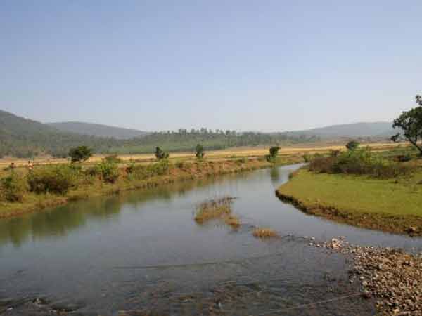 રાષ્ટ્રીય ઉદ્યાનમાં ખળખળ વહેતી નદી