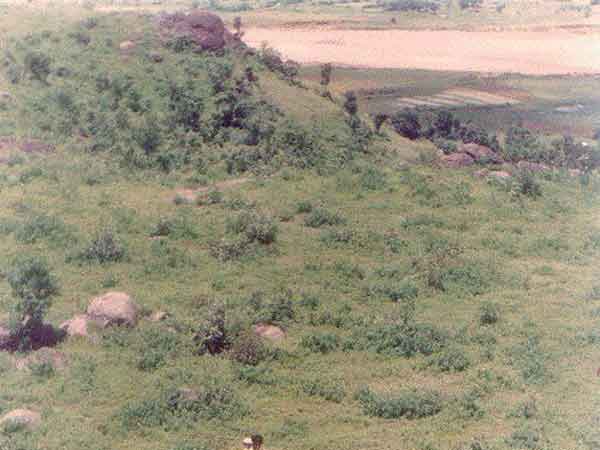 હિલ્સ