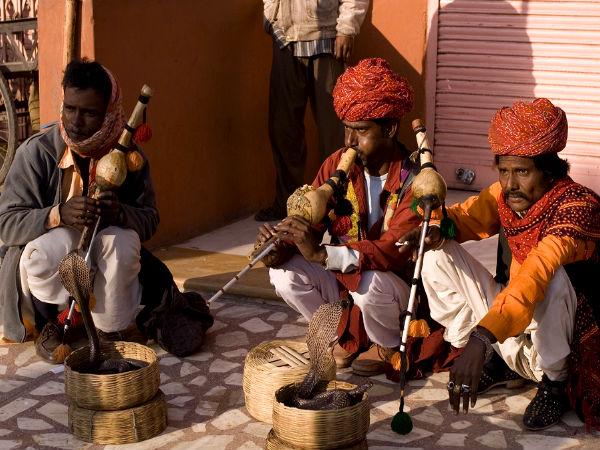 હાથી અને મદારી