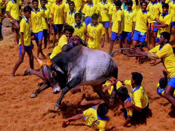 વદી મનુવીરત્તુ