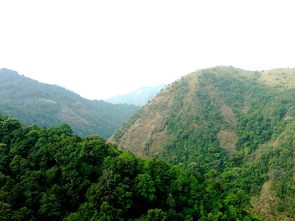 સાયલન્ટ વેલી નેશનલ પાર્ક