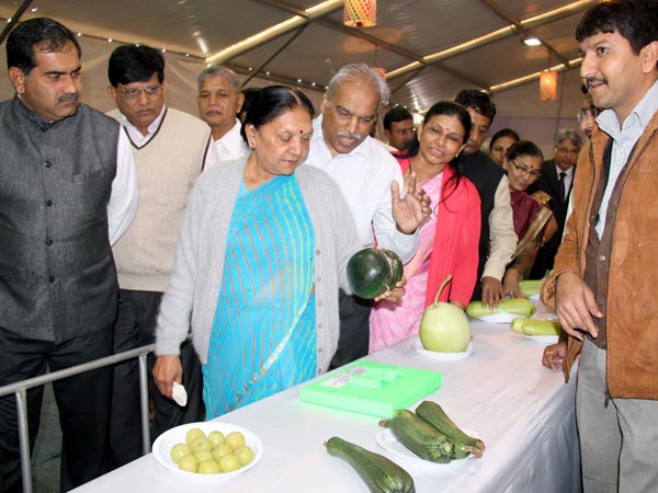 ફ્લાવર શૉ 2014