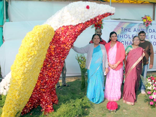 ફ્લાવર શૉ 2014