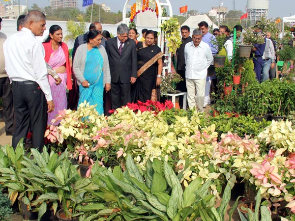 ફ્લાવર શૉ 2014