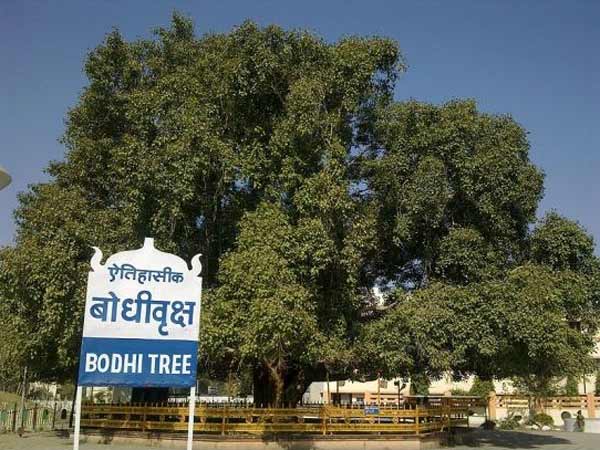એક સ્પષ્ટ દ્રષ્ટિકોણ