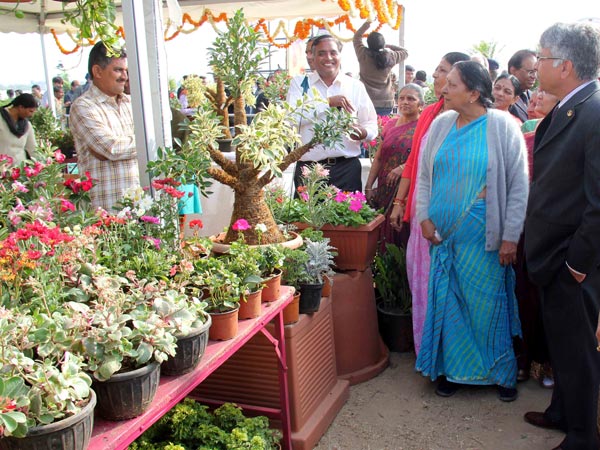 આનંદીબેન જામનગરમાં