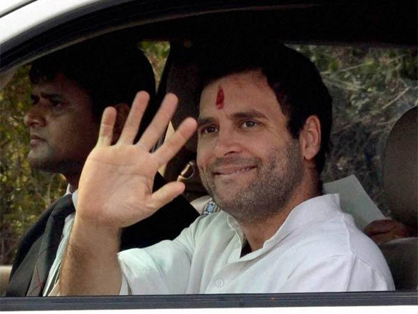 હારની જવાબદારી સ્વિકારીશ