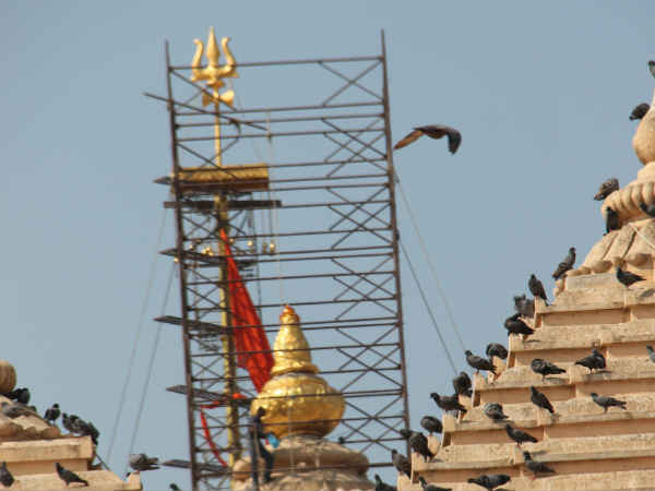 મોદીના હસ્તે શિવાર્પણ વિધિ અને પુજન વિધિ