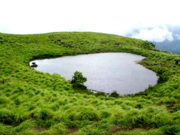 વાયનાડ