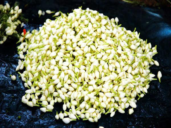 મુદરઇ- ચમેલી