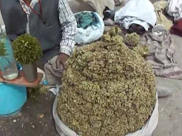 સોમ રસ