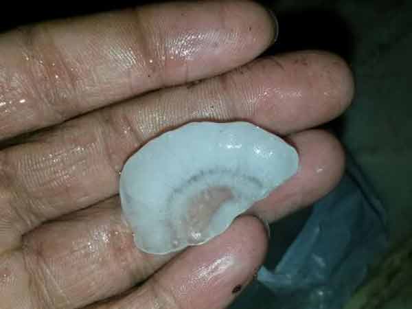 વડોદરા જિલ્લામાં પડ્યાં બરફના કરા