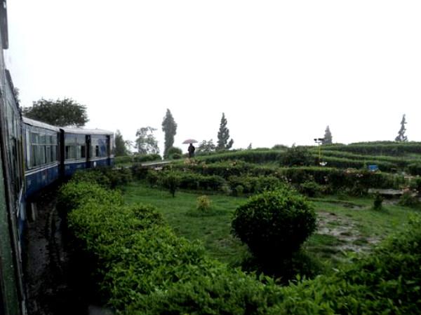 દાર્જિલિંગ