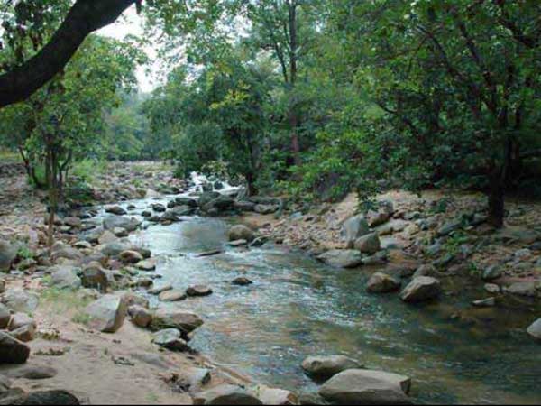 અભ્યારણ્ય ખાતે જલ ધારા