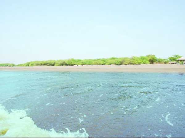 ઘોઘા સમુદ્ર તટ