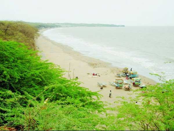 મહુવા બીચની હરિયાળી