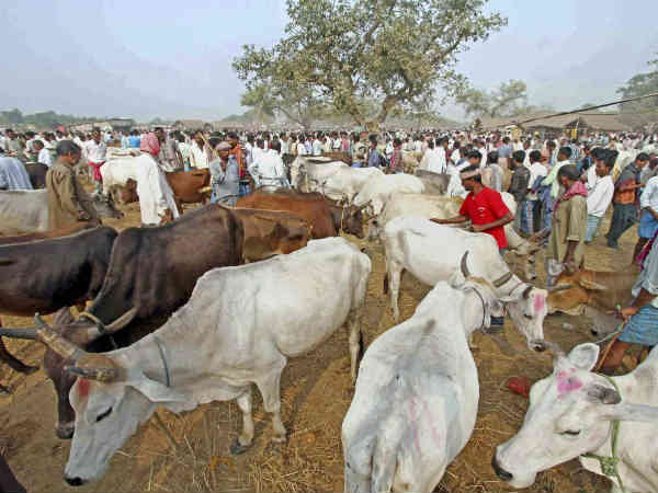 સરકારી યોજનાઓને લઇને ખેડૂતો કેટલા જાગૃત છે