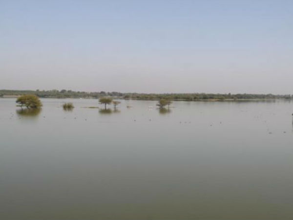 અમદાવાદનું થોળ તળાવ