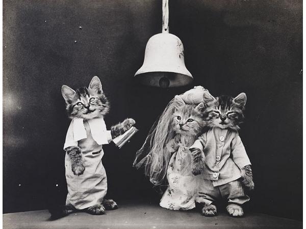 Victorian photographer Harry Whittier photo