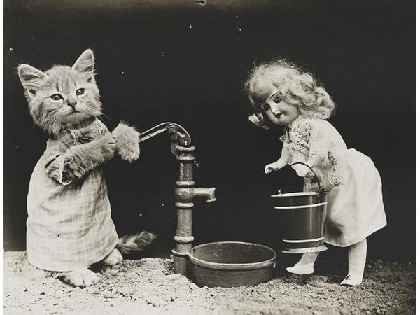 Victorian photographer Harry Whittier photo