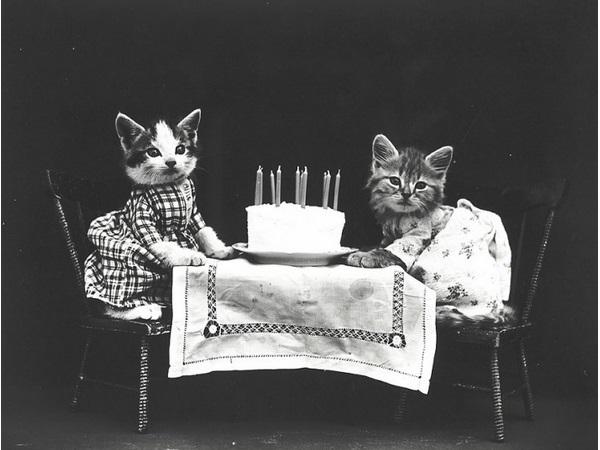 Victorian photographer Harry Whittier photo