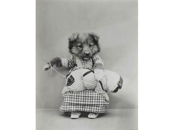 Victorian photographer Harry Whittier photo