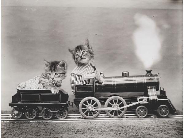 Victorian photographer Harry Whittier photo