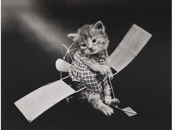 Victorian photographer Harry Whittier photo