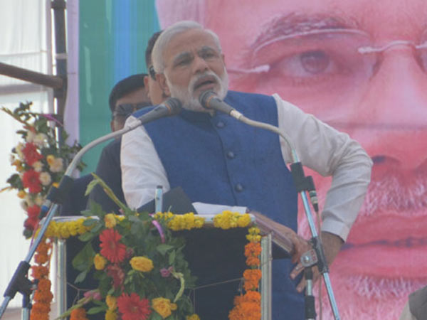 300 કરતા વધું કમળ ભાજપની જોળીમાં મુકો
