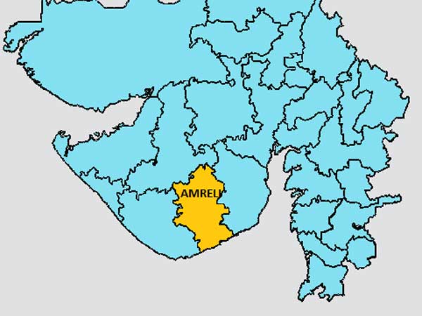 પરિણામ પર એક નજર