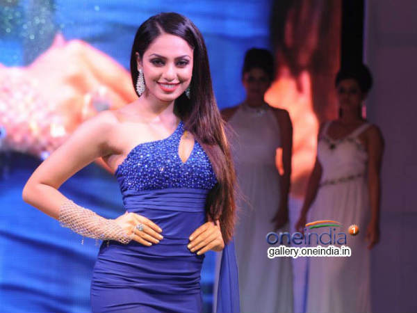 ફેમિના સ્પાર્કલ ફેસ્ટ 2014 ફૅશન શો