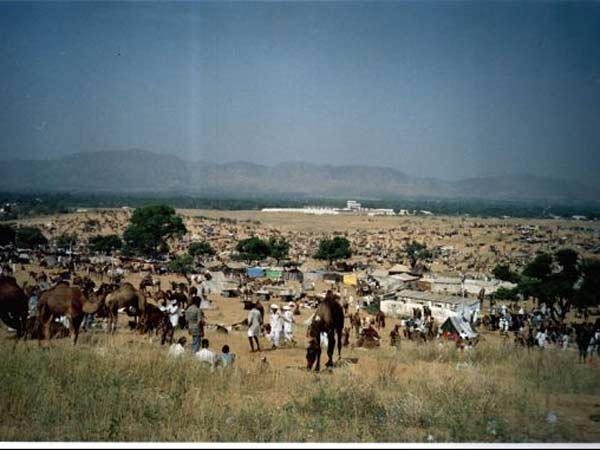 પુષ્કર પશુ મેળો