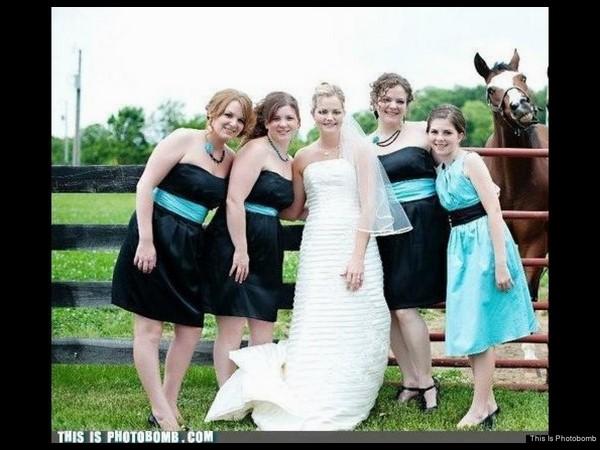 I'm A Horse!