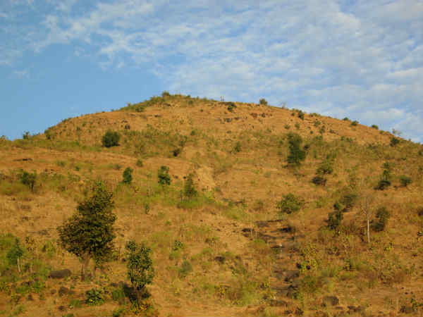 GECની આર્થિક સહાય