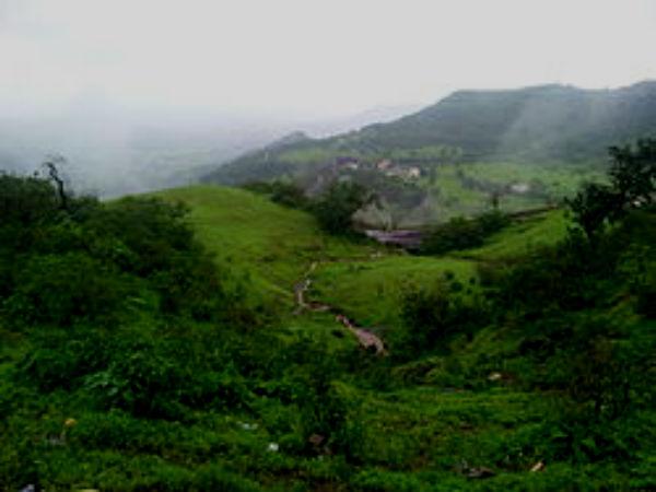 પૂર્ણા વન્યજીવ અભ્યારણ્ય