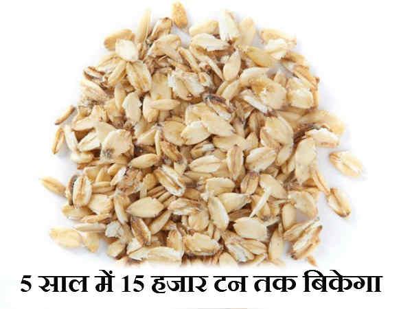 5 વર્ષમાં 15 હજાર ટન સુધી વેચાશે ઓટ્સ