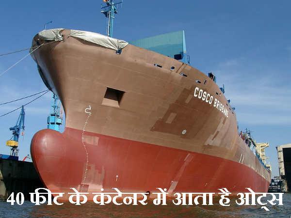 40 ફૂટના કંટેનરમાં આવે છે ઓટ્સ
