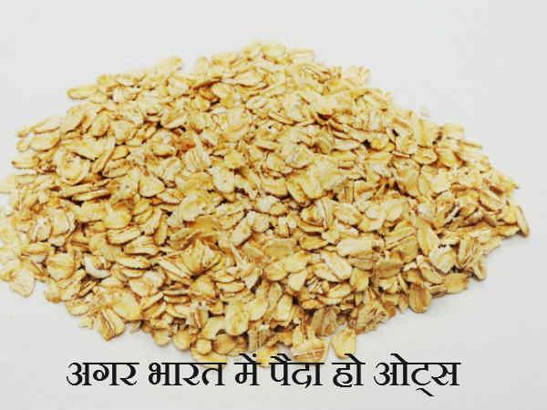 શું થશે જો ભારતમાં ઉત્પન્ન થાય ઓટ્સ