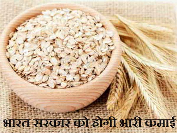 ઓટ્સથી ભારત સરકારને થશે ભારે કમાણી
