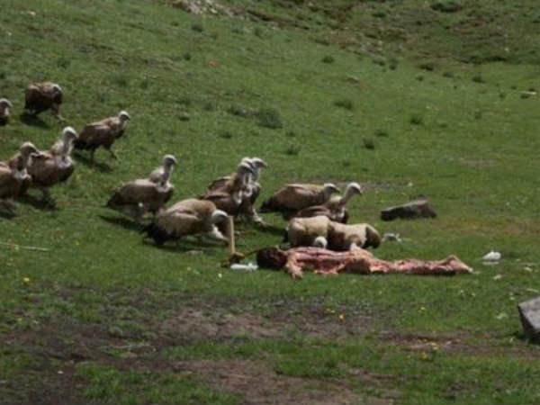 આકાશ અંત્યેષ્ટિ