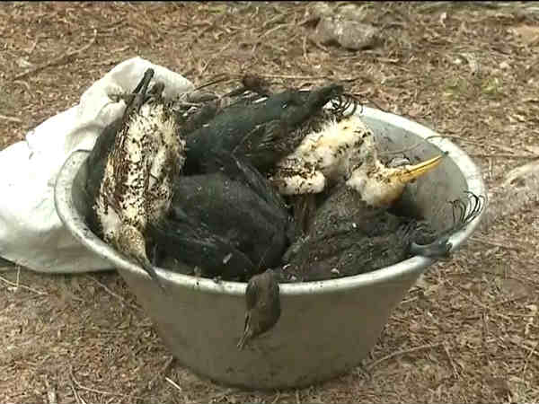 GAIL gas leak fire In Andhra Pradesh