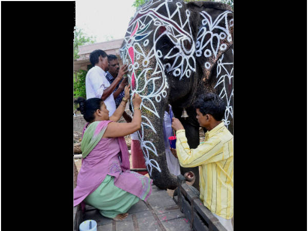 હાથીઓનો શણગાર