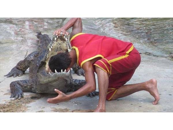 રમૂજી અને ખતરનાક તસવીરો
