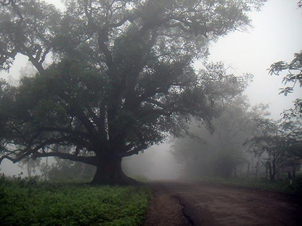 કેવી રીતે આવશો માંડુ