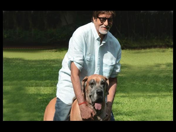 અમિતાભ બચ્ચન