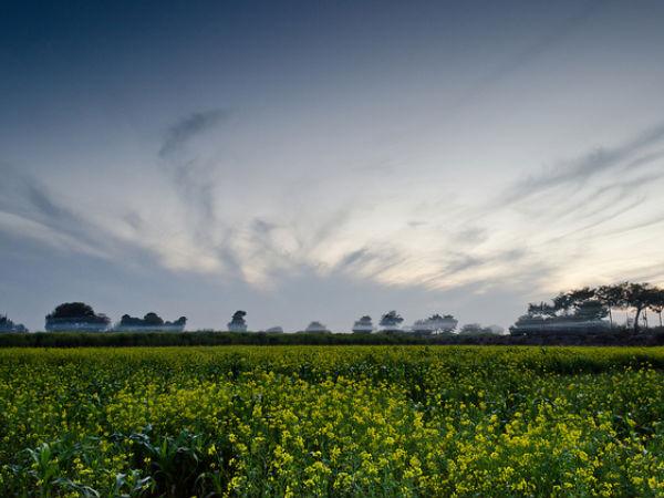 પંજાબ
