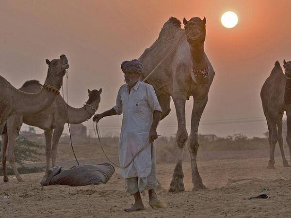 રાજસ્થાન